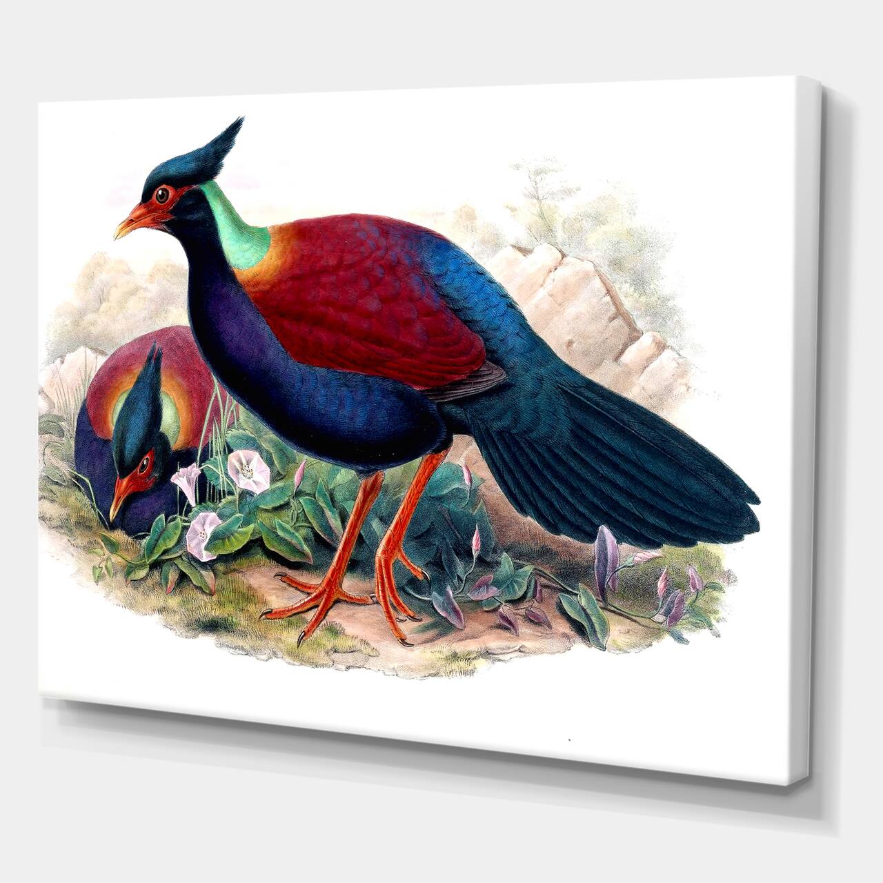 Designart - Vintage Birds In The Wild II - Traditional Canvas Wall Art Print
